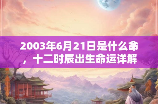 2003年6月21日是什么命，十二时辰出生命运详解