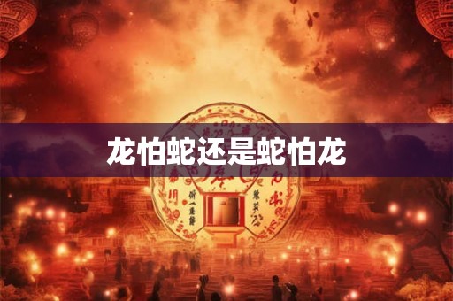 龙怕蛇还是蛇怕龙
