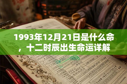 1993年12月21日是什么命，十二时辰出生命运详解