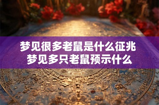 梦见很多老鼠是什么征兆 梦见多只老鼠预示什么