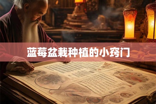 蓝莓盆栽种植的小窍门