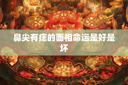 鼻尖有痣的面相命运是好是坏