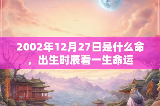 2002年12月27日是什么命，出生时辰看一生命运