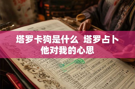 塔罗卡狗是什么  塔罗占卜他对我的心思