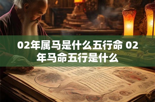 02年属马是什么五行命 02年马命五行是什么