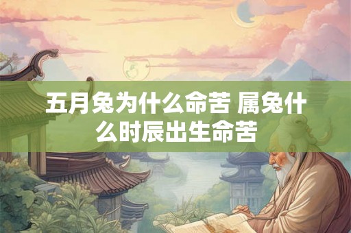 五月兔为什么命苦 属兔什么时辰出生命苦 五月兔为什么命苦 属兔什么时辰出生命苦