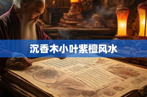 沉香木小叶紫檀风水