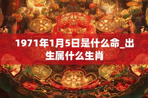 1971年1月5日是什么命_出生属什么生肖