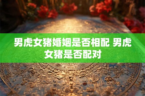 男虎女猪婚姻是否相配 男虎女猪是否配对 男虎女猪婚姻是否相配 男虎女猪是否配对