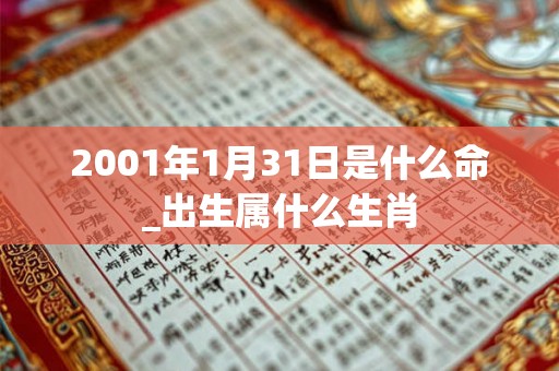 2001年1月31日是什么命_出生属什么生肖 2001年1月31日是什么命_出生属什么生肖
