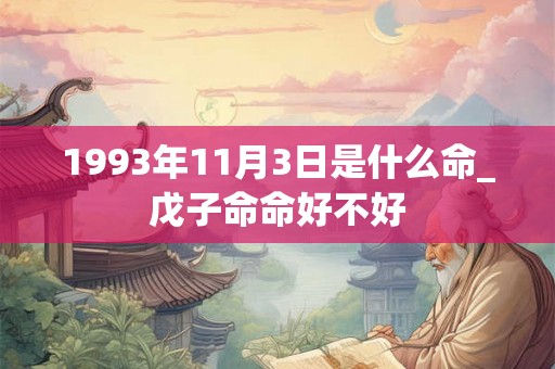 1993年11月3日是什么命_戊子命命好不好