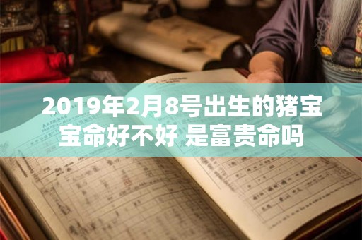 2019年2月8号出生的猪宝宝命好不好 是富贵命吗