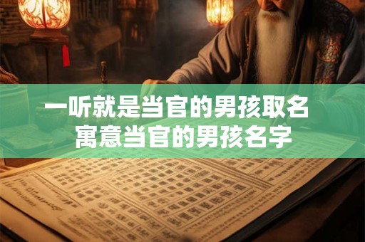 一听就是当官的男孩取名 寓意当官的男孩名字 一听就是当官的男孩取名 寓意当官的男孩名字