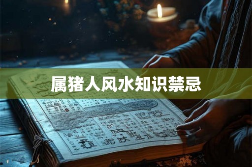 属猪人风水知识禁忌
