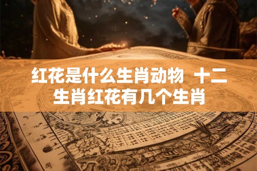 红花是什么生肖动物  十二生肖红花有几个生肖