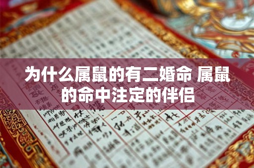 为什么属鼠的有二婚命 属鼠的命中注定的伴侣 为什么属鼠的有二婚命 属鼠的命中注定的伴侣