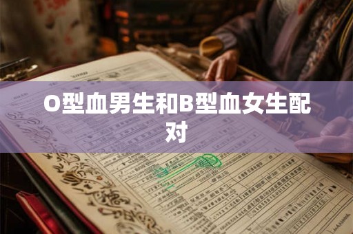 O型血男生和B型血女生配对