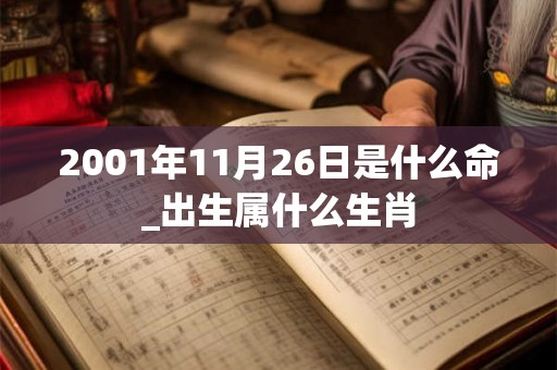 2001年11月26日是什么命_出生属什么生肖