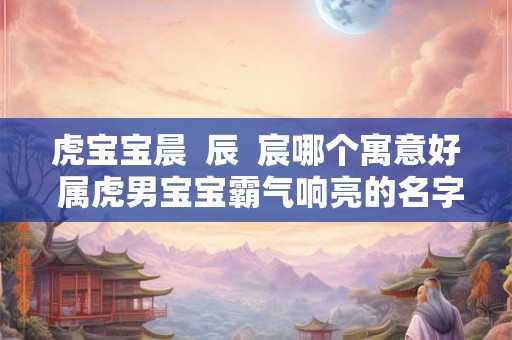 虎宝宝晨  辰  宸哪个寓意好 属虎男宝宝霸气响亮的名字