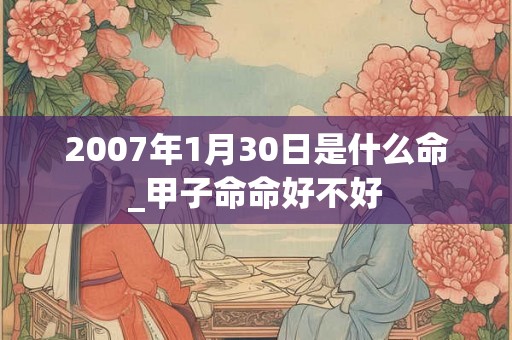 2007年1月30日是什么命_甲子命命好不好