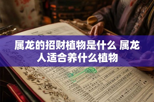 属龙的招财植物是什么 属龙人适合养什么植物