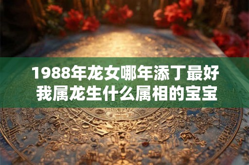 1988年龙女哪年添丁最好 我属龙生什么属相的宝宝好