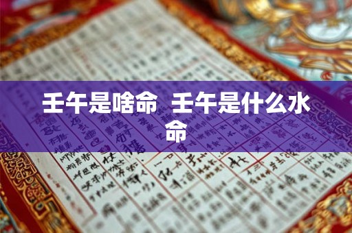 壬午是啥命 壬午是什么水命 壬午是啥命 壬午是什么水命