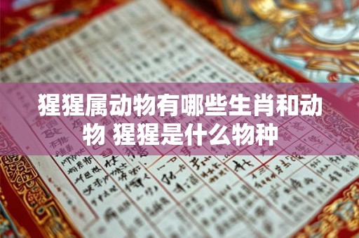 猩猩属动物有哪些生肖和动物 猩猩是什么物种