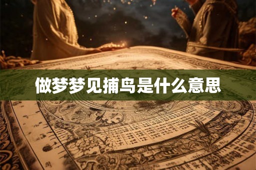做梦梦见捕鸟是什么意思