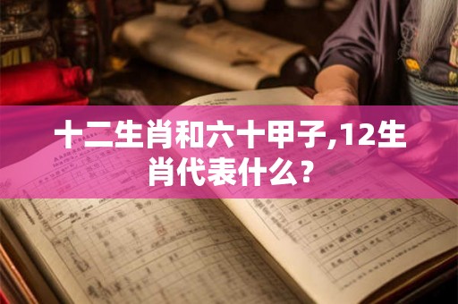 十二生肖和六十甲子,12生肖代表什么？
