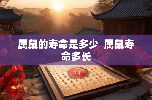 属鼠的寿命是多少  属鼠寿命多长