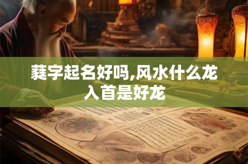 蕤字起名好吗,风水什么龙入首是好龙