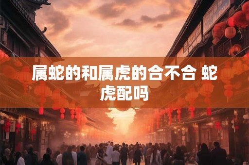 属蛇的和属虎的合不合 蛇虎配吗