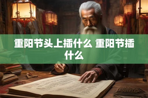 重阳节头上插什么 重阳节插什么