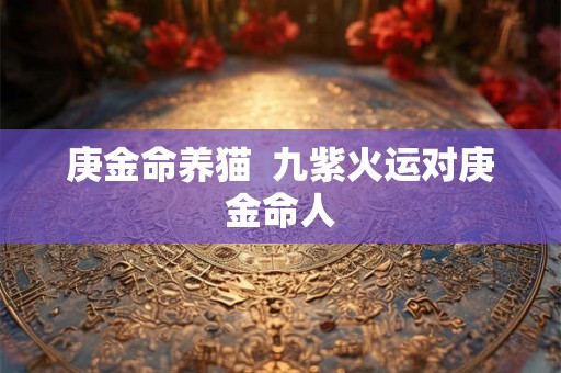 庚金命养猫 九紫火运对庚金命人 庚金命养猫 九紫火运对庚金命人