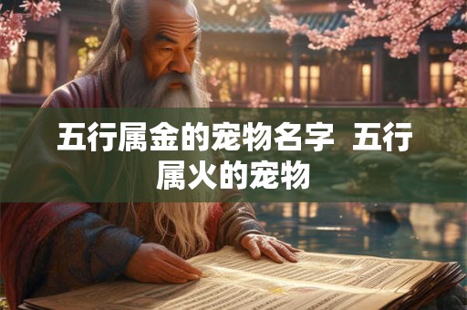 五行属金的宠物名字 五行属火的宠物 五行属金的宠物名字 五行属火的宠物