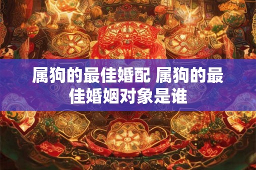 属狗的最佳婚配 属狗的最佳婚姻对象是谁 属狗的最佳婚配 属狗的最佳婚姻对象是谁