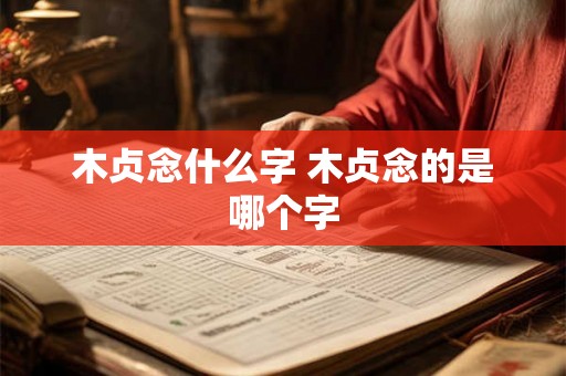 木贞念什么字 木贞念的是哪个字