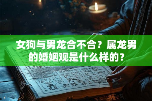 女狗与男龙合不合？属龙男的婚姻观是什么样的？