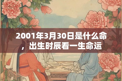 2001年3月30日是什么命，出生时辰看一生命运