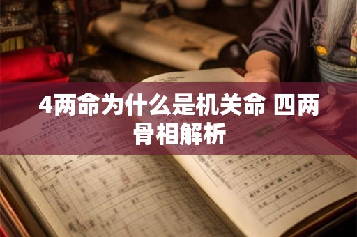 4两命为什么是机关命 四两骨相解析 4两命为什么是机关命 四两骨相解析