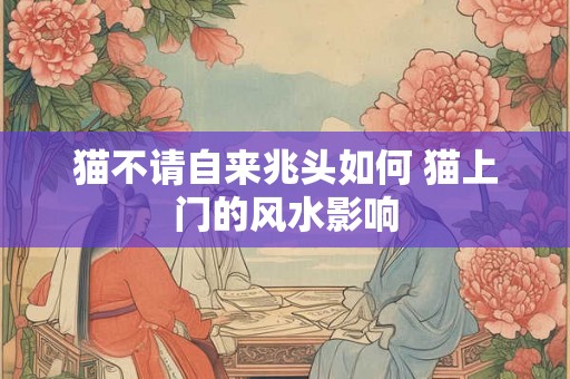猫不请自来兆头如何 猫上门的风水影响