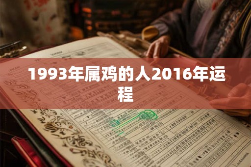 1993年属鸡的人2016年运程