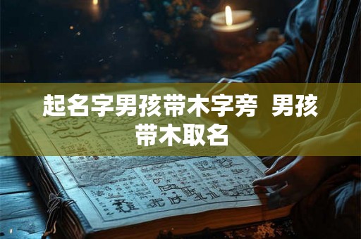 起名字男孩带木字旁  男孩带木取名