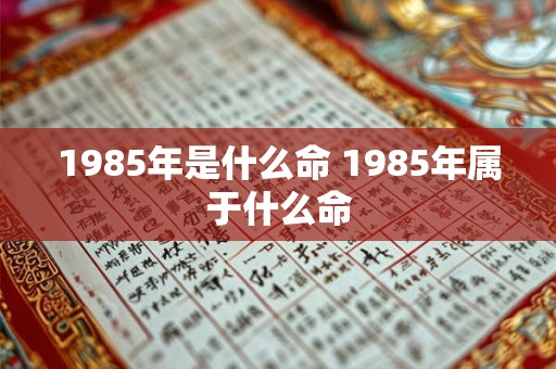 1985年是什么命 1985年属于什么命