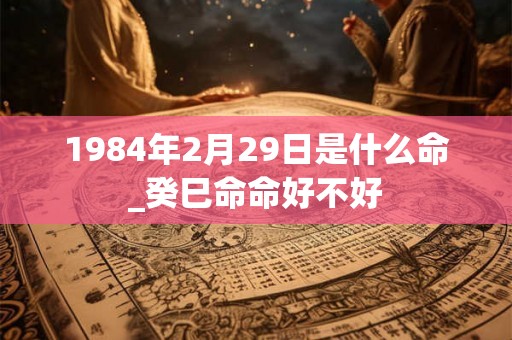 1984年2月29日是什么命_癸巳命命好不好