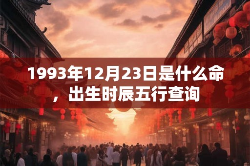 1993年12月23日是什么命，出生时辰五行查询