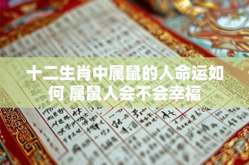 十二生肖中属鼠的人命运如何 属鼠人会不会幸福