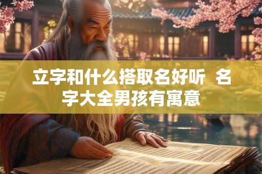 立字和什么搭取名好听  名字大全男孩有寓意