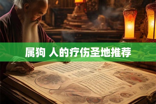 属狗 人的疗伤圣地推荐
